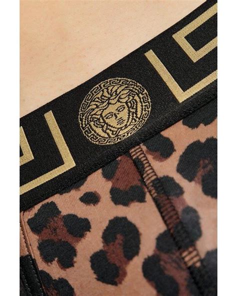 Versace testing on animals